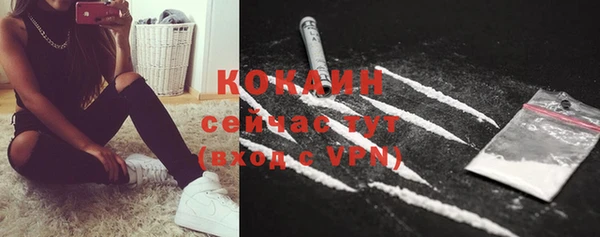 первитин Дмитриев