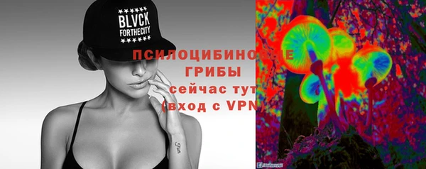 герыч Дмитров