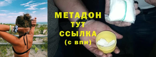 индика Дмитровск