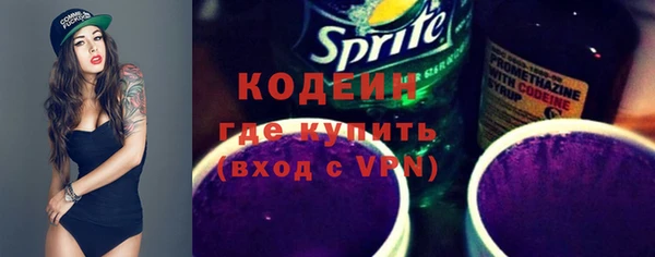 индика Дмитровск