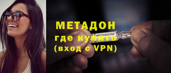 индика Дмитровск