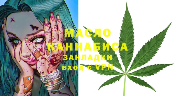 индика Дмитровск