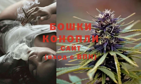 индика Дмитровск