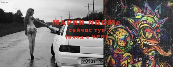 индика Дмитровск