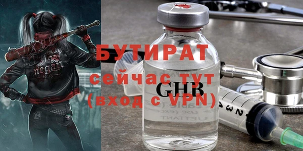 индика Дмитровск