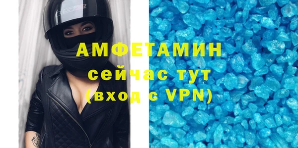 индика Дмитровск