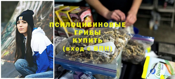 первитин Дмитриев