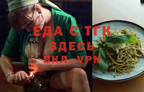 индика Дмитровск