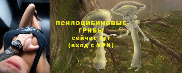 первитин Дмитриев