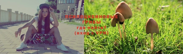 герыч Дмитров