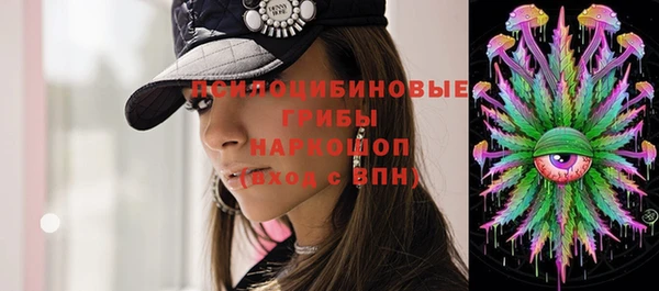 индика Дмитровск