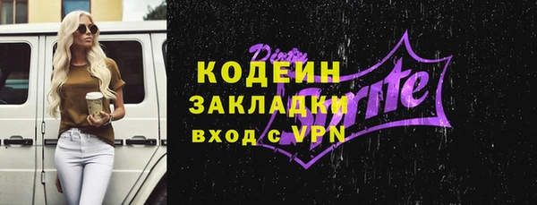 индика Дмитровск