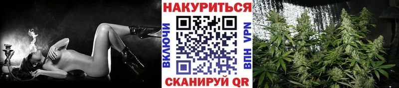магазин продажи наркотиков  блэк спрут ТОР  Марихуана индика  Копейск 